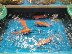 -阿明小菜·海鲜·上海菜(梅陇店)