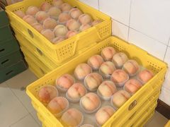 -老袁家蜜桃农场·阳山水蜜桃