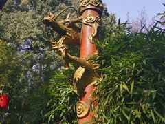 -杭州黄龙洞