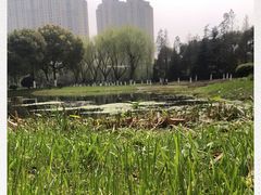 -太仓市第一人民医院