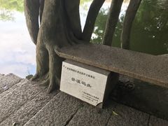 -小洲村