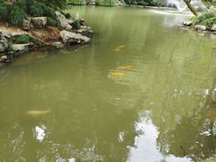 -杭州植物园