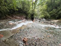 -西岭雪山大飞水景区