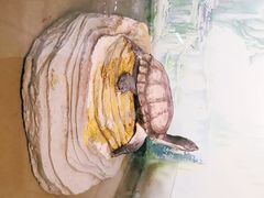 -上海大自然野生昆虫馆