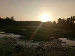 -三亚珠江南田温泉度假区