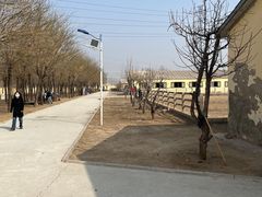 -北京群众马术培训基地