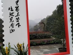 -南山植物园