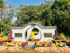 -上海共青森林公园