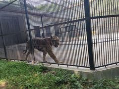 -广东茂名森林公园