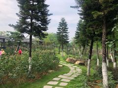 -映月湖公园