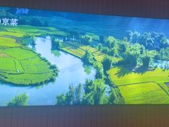 -王家大院·南京菜(湛江路总店)