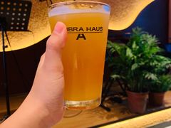 -Ambra Haus琥珀屋精酿餐厅(宝山店)