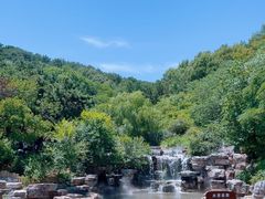 -北京西山国家森林公园