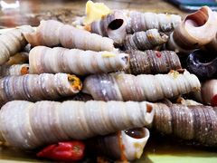 和味炒丁螺-贞姨美食·老字号海鲜大排档