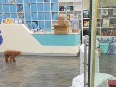-暖阳宠物医院·犬猫康复中心·骨科