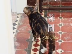 -馨园villa融合菜(东山店)