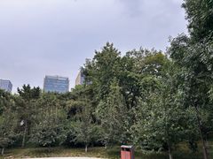 -元大都城垣遗址公园