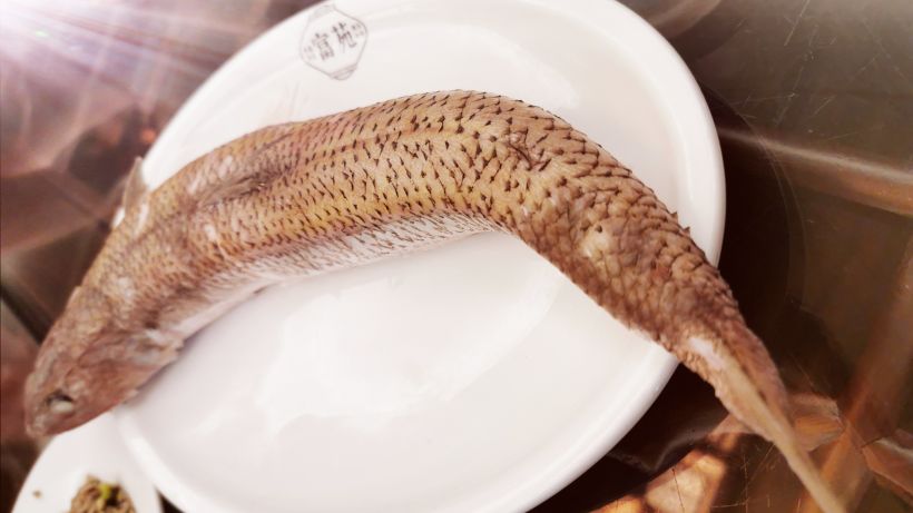 【红肉米】12 红肉米其实就是蚬仔肉 蚬仔是很小的壳类 去掉壳取出肉