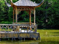 -上海滨江森林公园