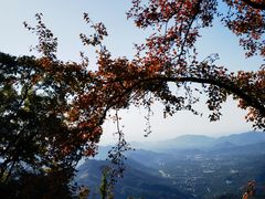 -广州市石门国家森林公园