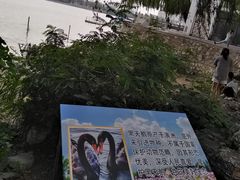 -天津水上公园