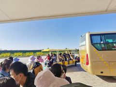 -金塔沙漠胡杨林景区