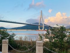 -芒洲湿地公园