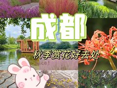 -王婆婆老妈蹄花川菜馆·非物质文化遗产(太古里一店)