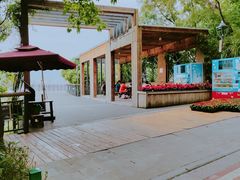 -金鸡山公园