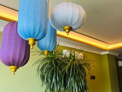 -野菌皇海景野生菌火锅(滨海大道店)