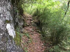 -青峰峡国家森林公园