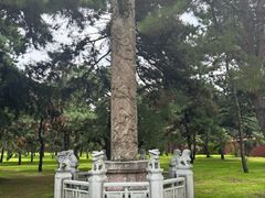 -北陵公园