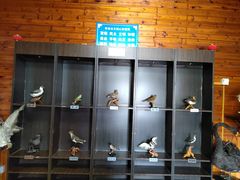 -南京金牛湖风景区