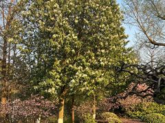 -狼山风景名胜区