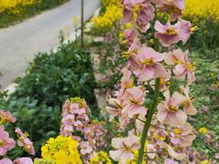 -白鹭湾湿地公园