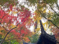 -秋霞圃