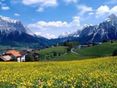 南无投资策划有限公司-佛山祈福仙湖酒店