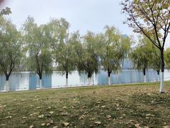 -天鹅湖体育公园