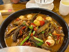 独火泥鳅-弓虽昌焖烧鸡(大竹林店)