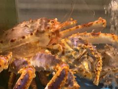 -阳光码头海鲜火锅(世纪大道店)