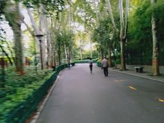 -西安市长乐公园