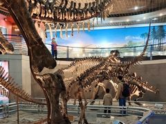 -国家自然博物馆