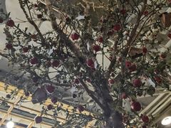 -Cafe Alice咖啡爱丽丝(奥城店)