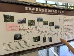 -牛背梁国家森林公园