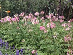 -长春公园(普阳街道)