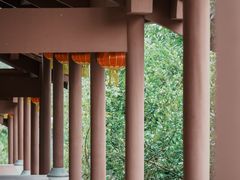 -广州神农草堂中医药博物馆