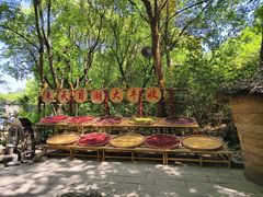 -天目湖山水园