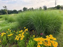 -汉长安城未央宫国家考古遗址公园