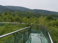 -陶祖圣境风景区