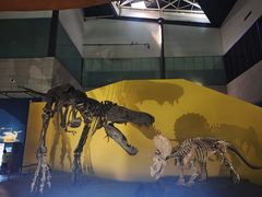 -湖南省地质博物馆